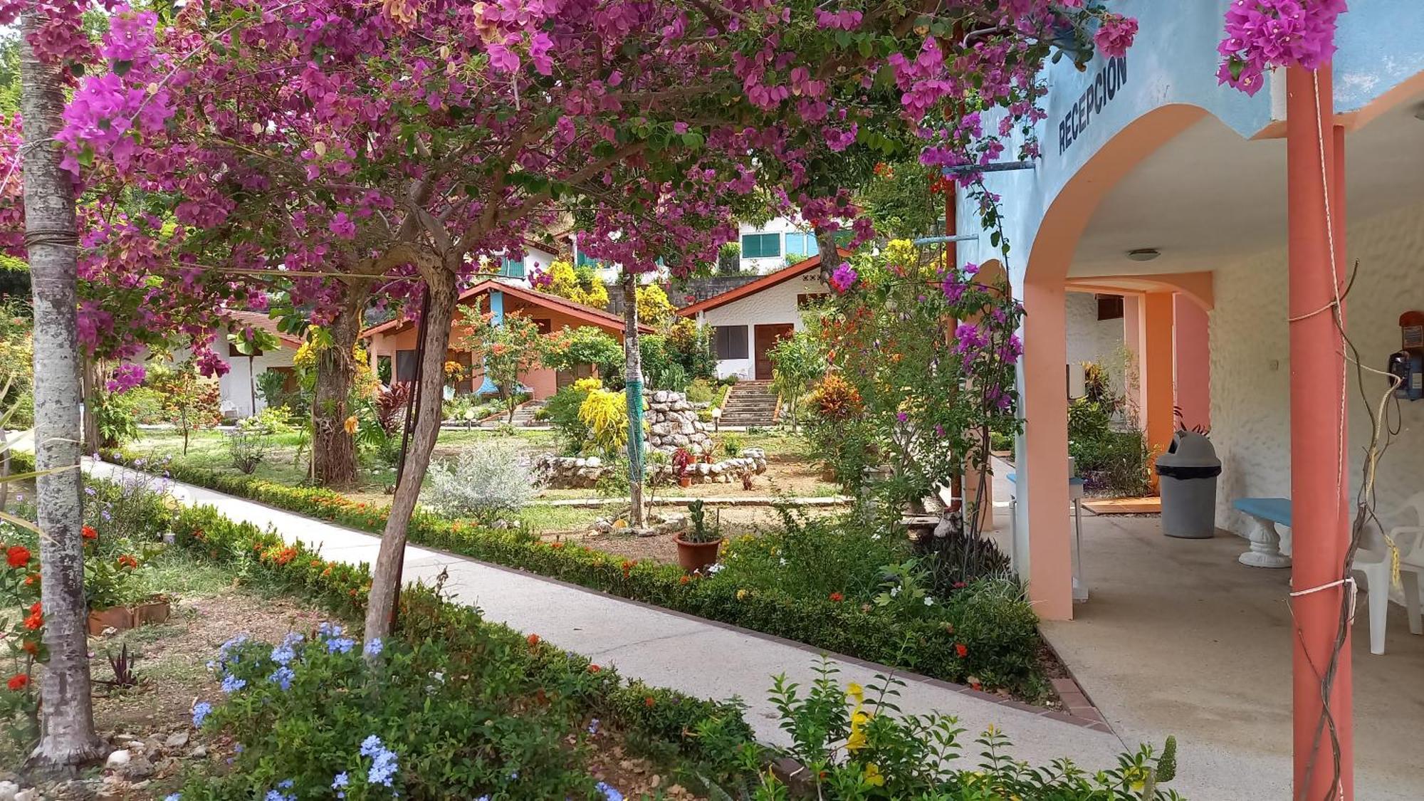 Brisas Del Pacifico Hotel 2*